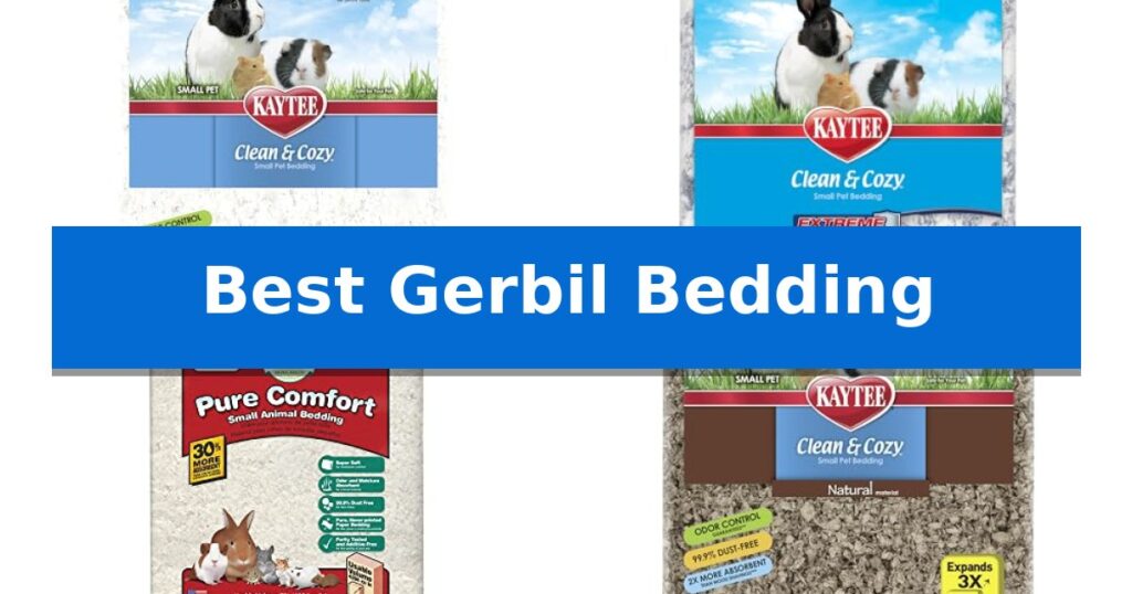 Best Gerbil Bedding