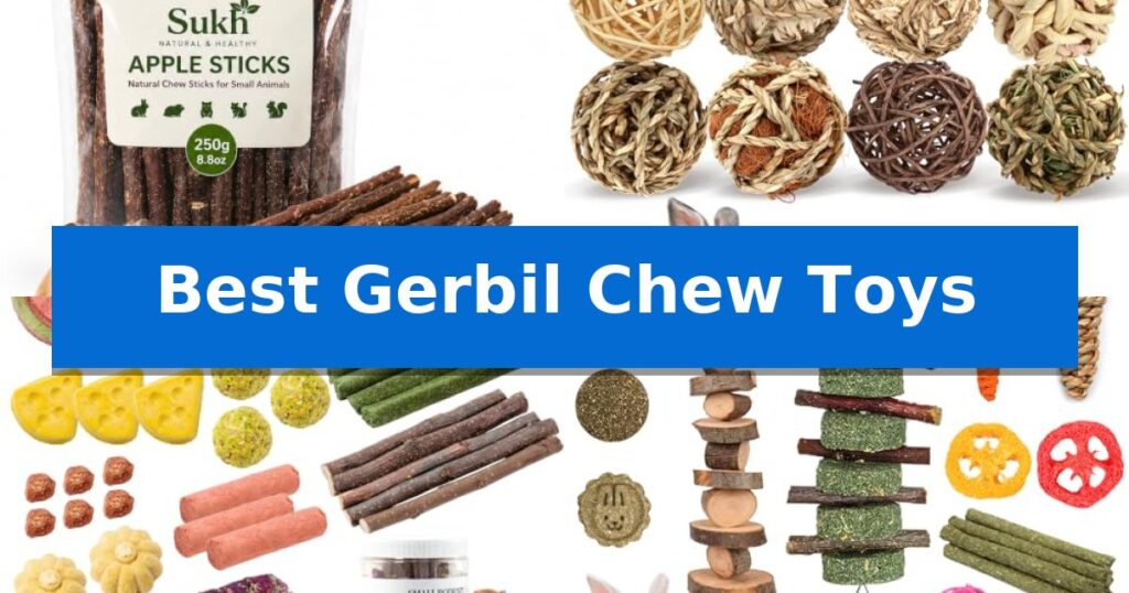 Best Gerbil Chew Toys
