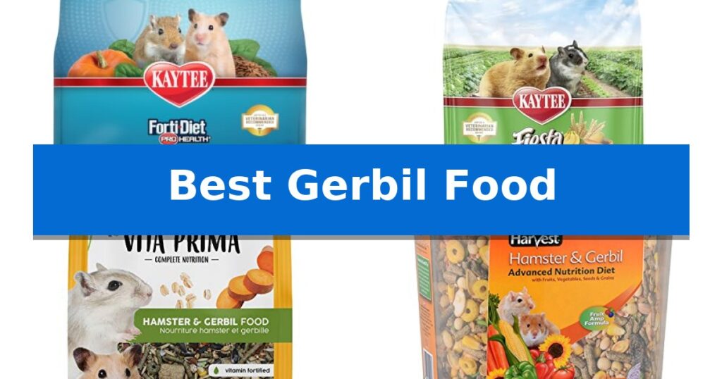 Best Gerbil Food