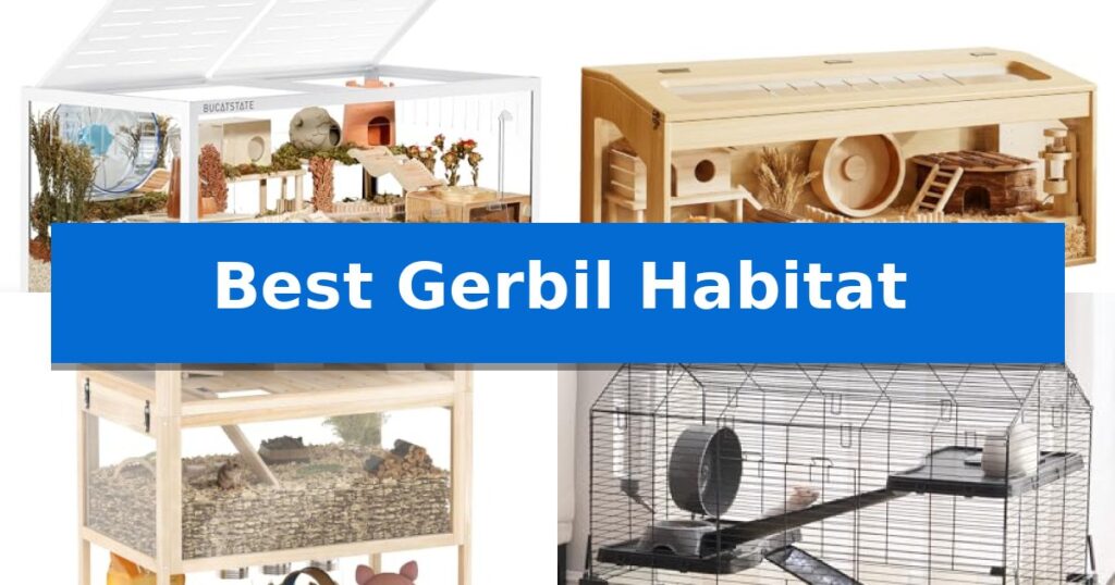 Best Gerbil Habitat