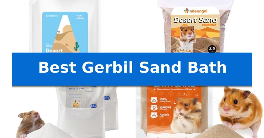 Best Gerbil Sand Bath