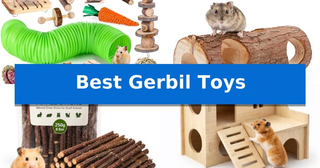 Best Gerbil Toys