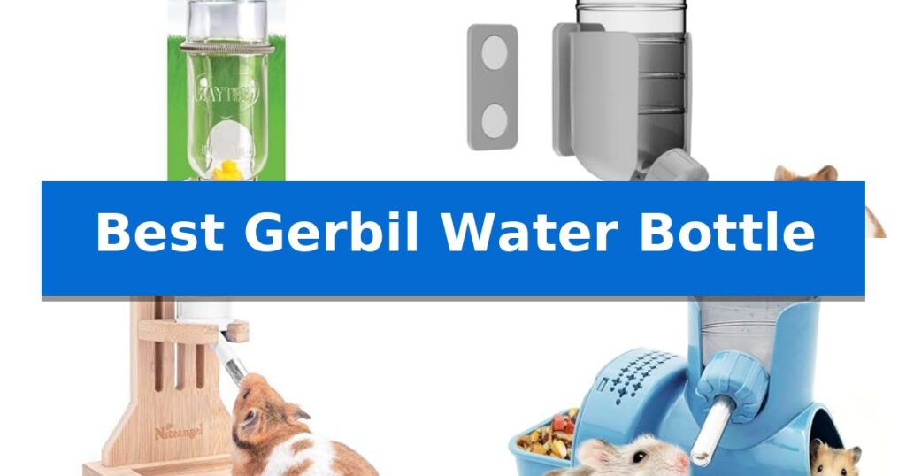 Best Gerbil Water Bottle