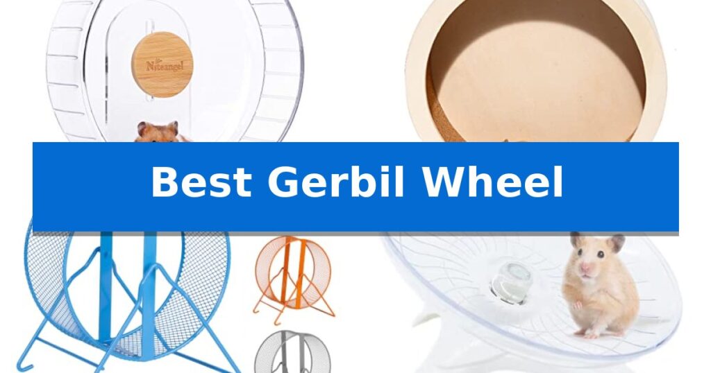 Best Gerbil Wheel