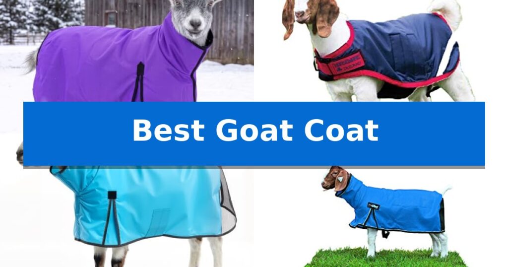 Best Goat Coat