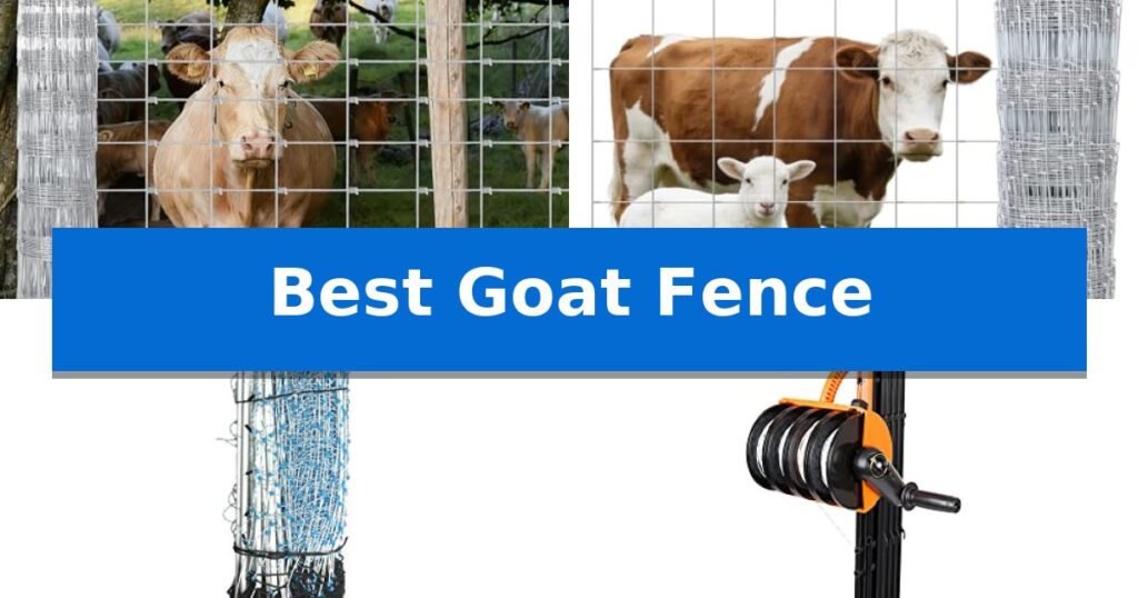 Best Goat Fence