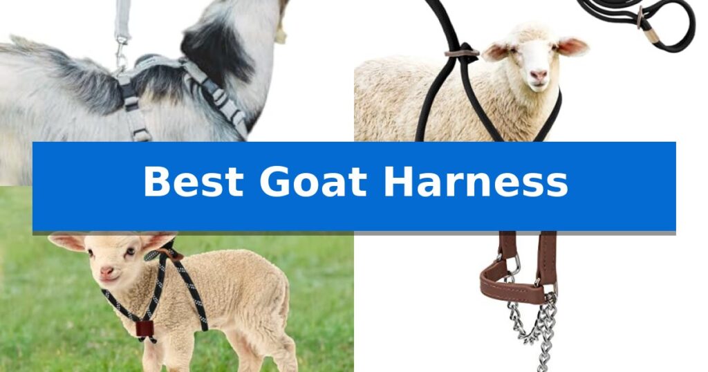 Best Goat Harness