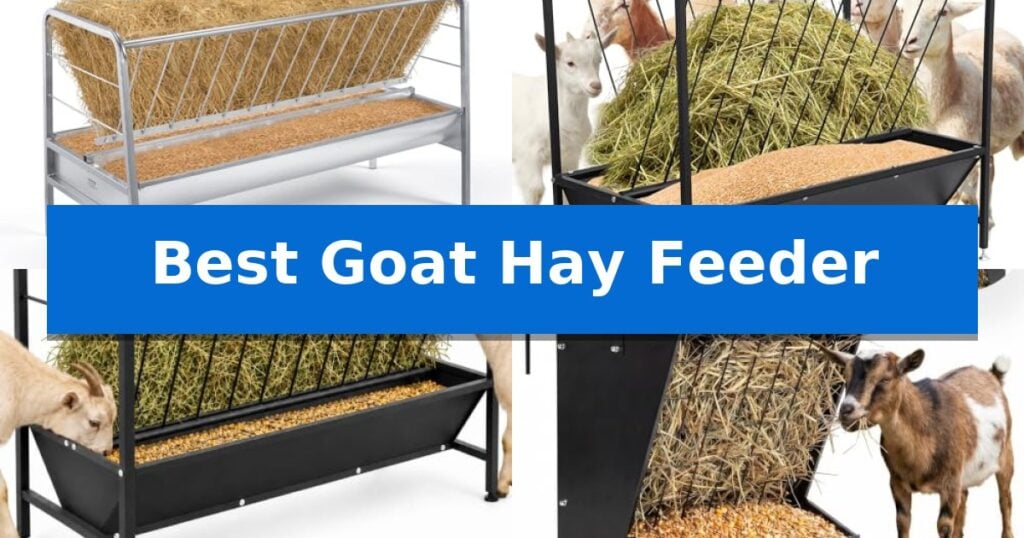 Best Goat Hay Feeder