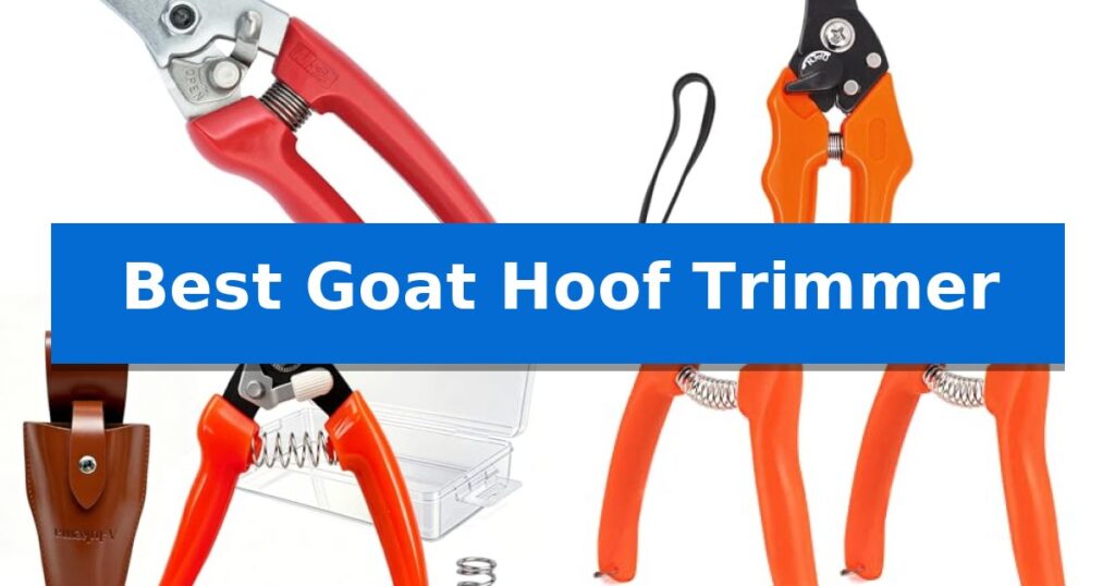 Best Goat Hoof Trimmer