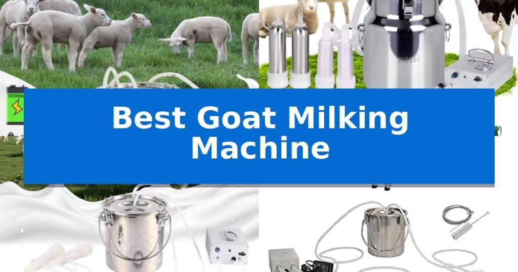 Best Goat Milking Machine