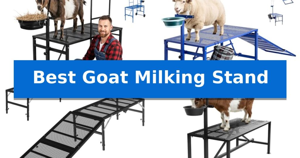 Best Goat Milking Stand
