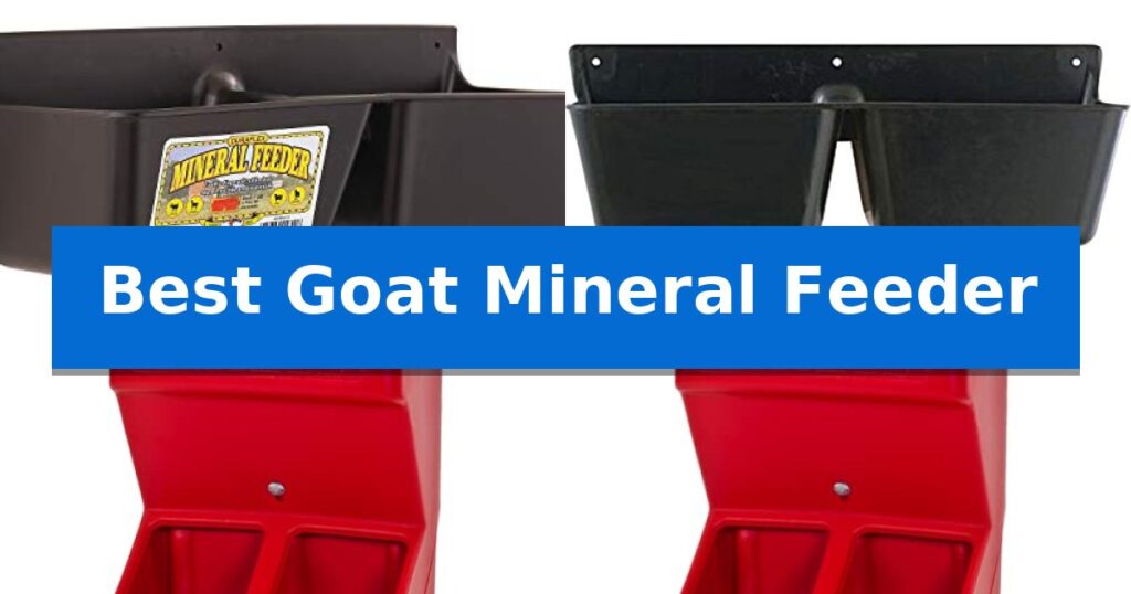 Best Goat Mineral Feeder