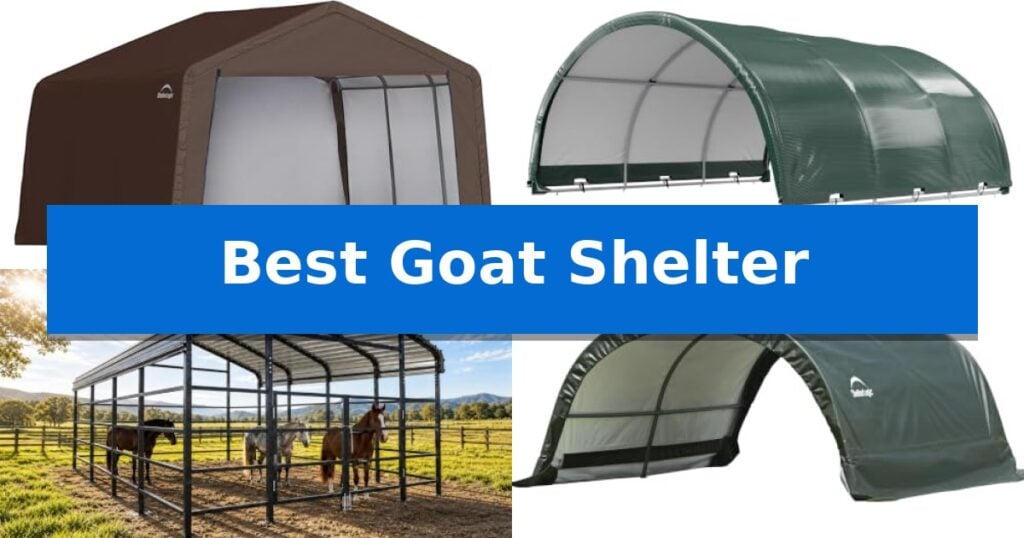 Best Goat Shelter
