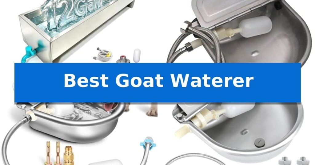 Best Goat Waterer