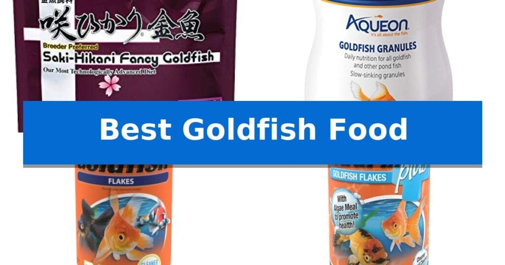 Best Goldfish Food