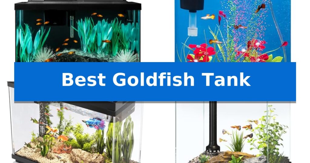 Best Goldfish Tank