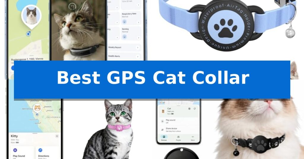 Best GPS Cat Collar
