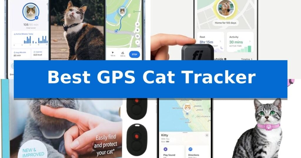 Best GPS Cat Tracker