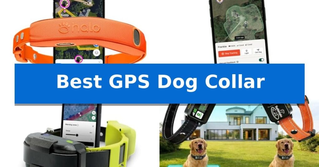 Best GPS Dog Collar