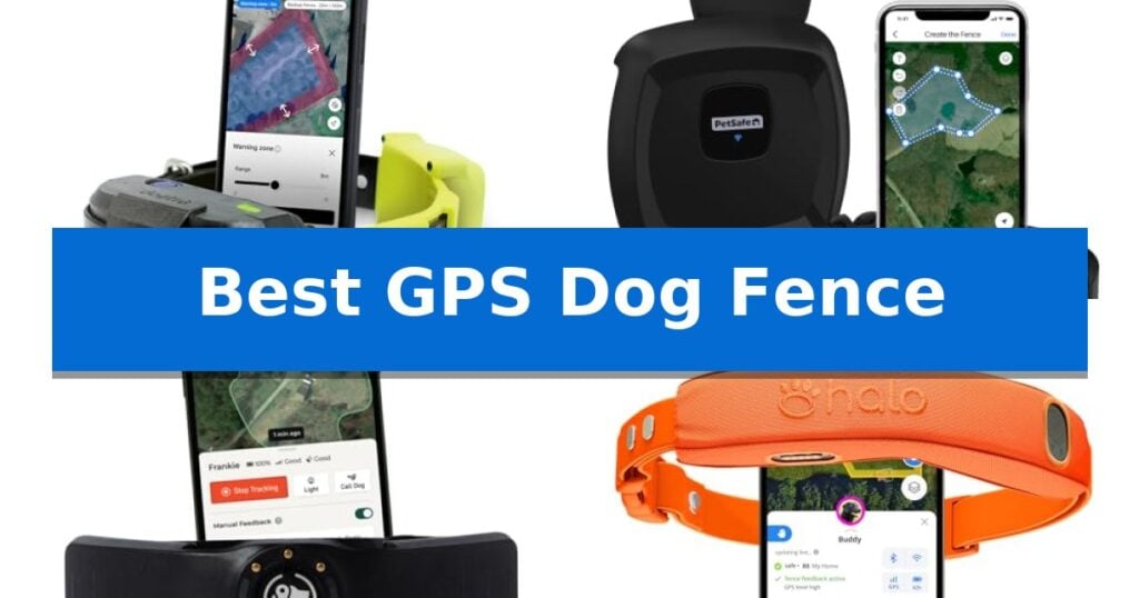 Best GPS Dog Fence