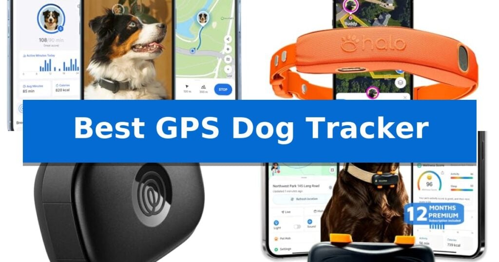 Best GPS Dog Tracker