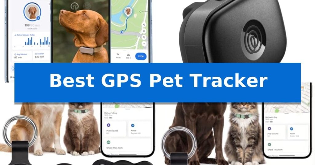 Best GPS Pet Tracker