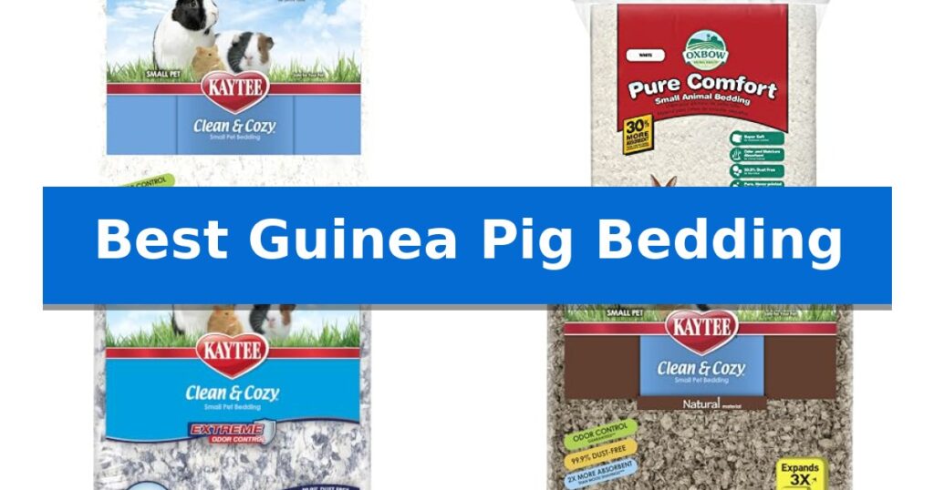 Best Guinea Pig Bedding