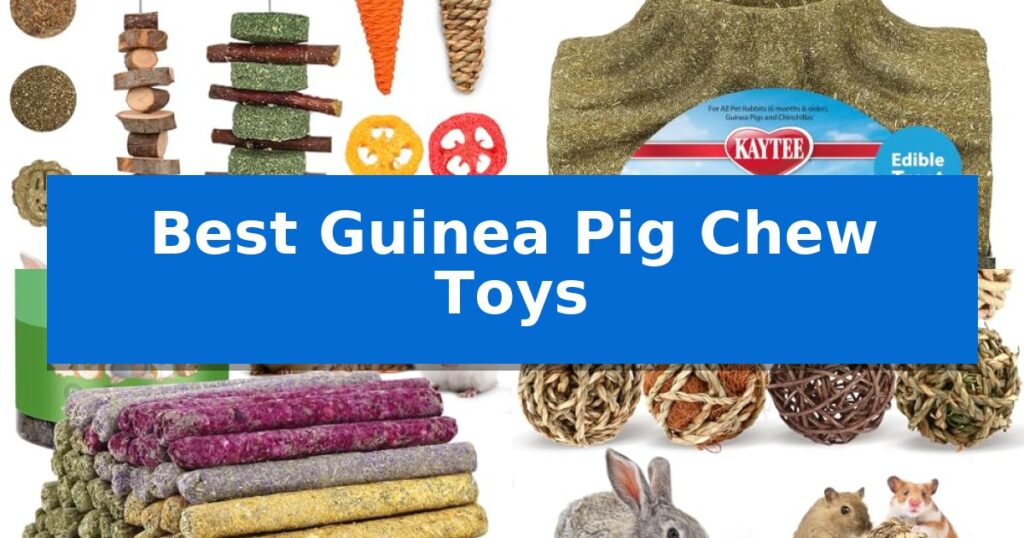 Best Guinea Pig Chew Toys