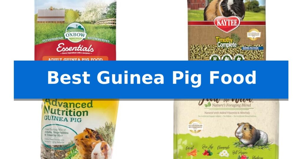 Best Guinea Pig Food