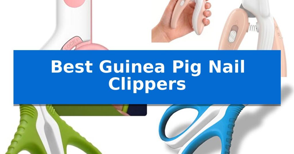Best Guinea Pig Nail Clippers