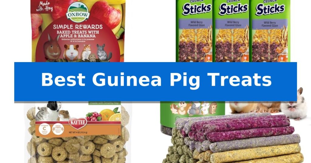 Best Guinea Pig Treats