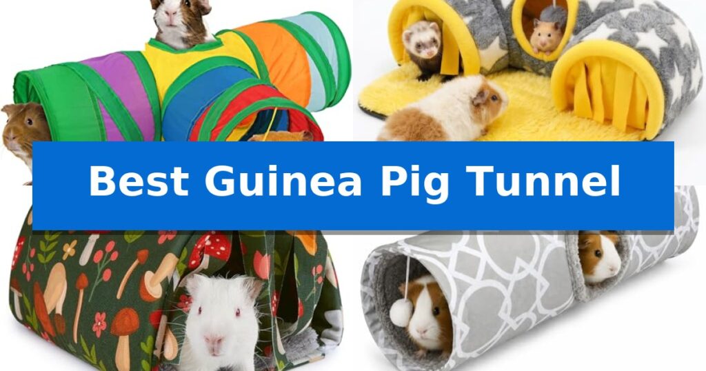 Best Guinea Pig Tunnel