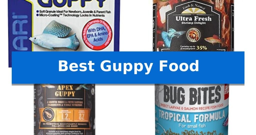Best Guppy Food