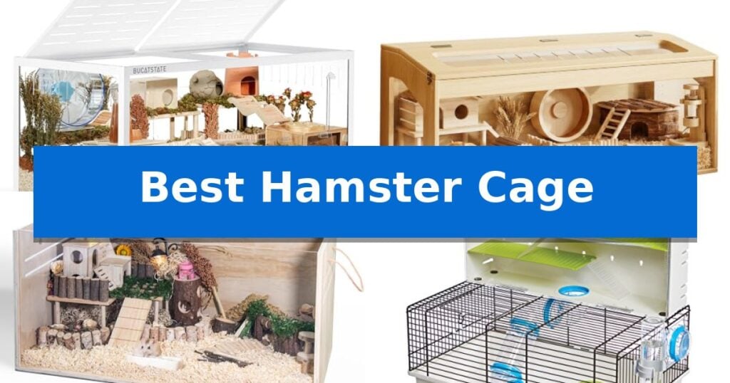 Best Hamster Cage