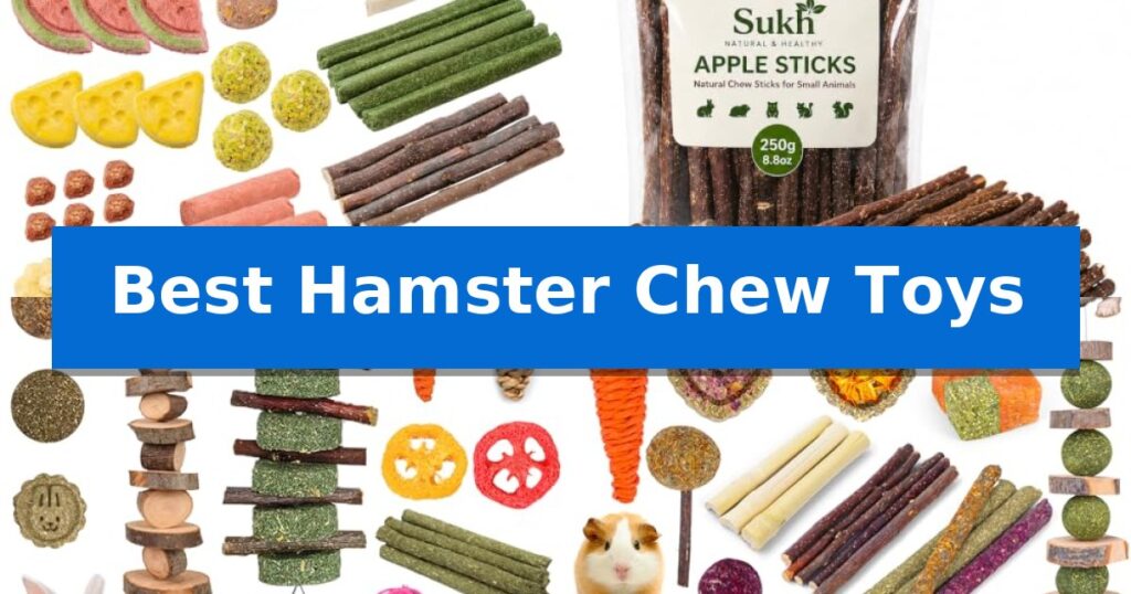 Best Hamster Chew Toys