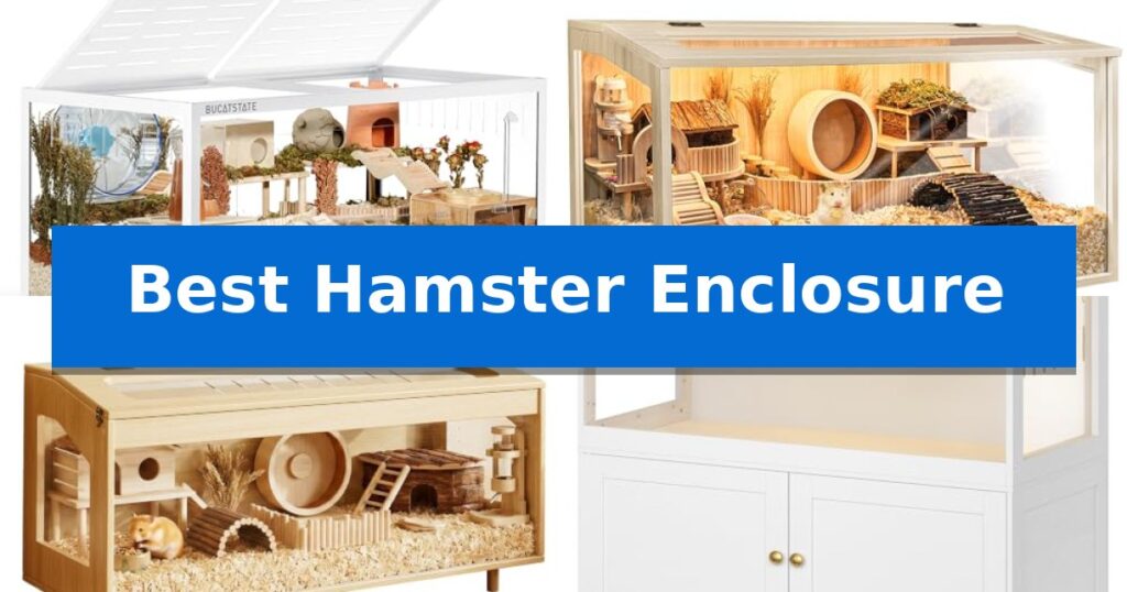 Best Hamster Enclosure