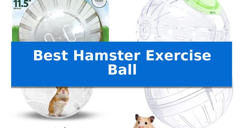 Best Hamster Exercise Ball