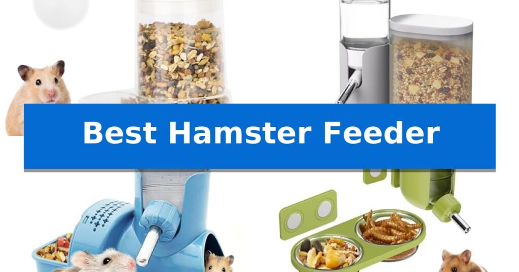 Best Hamster Feeder