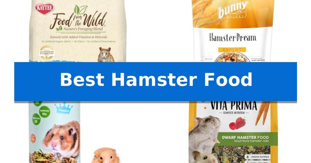 Best Hamster Food