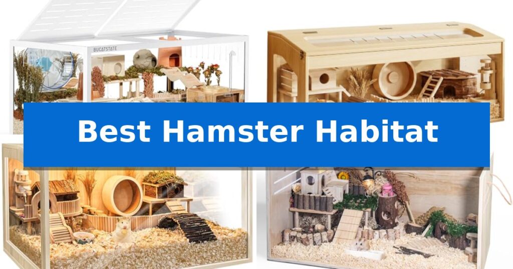 Best Hamster Habitat