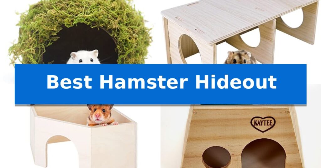 Best Hamster Hideout