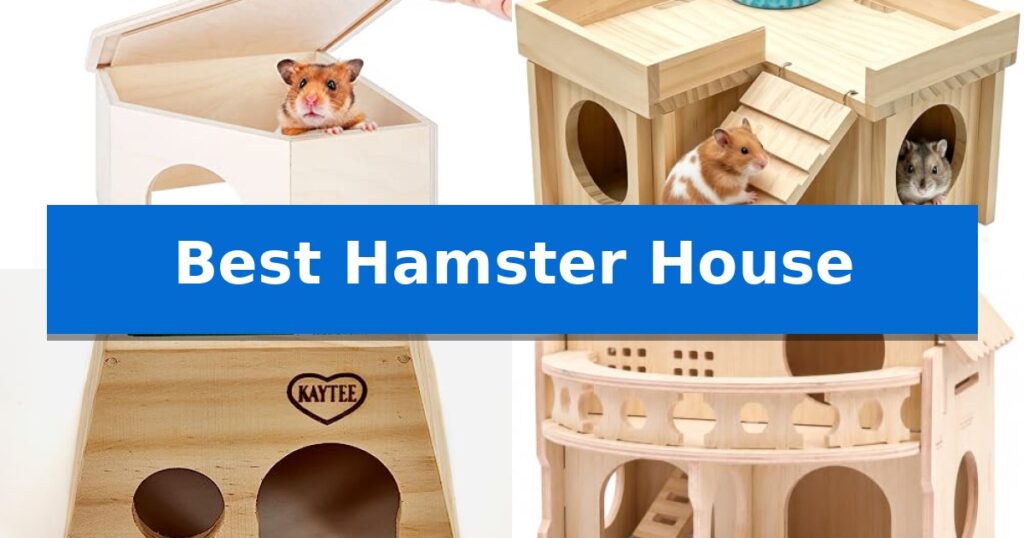 Best Hamster House