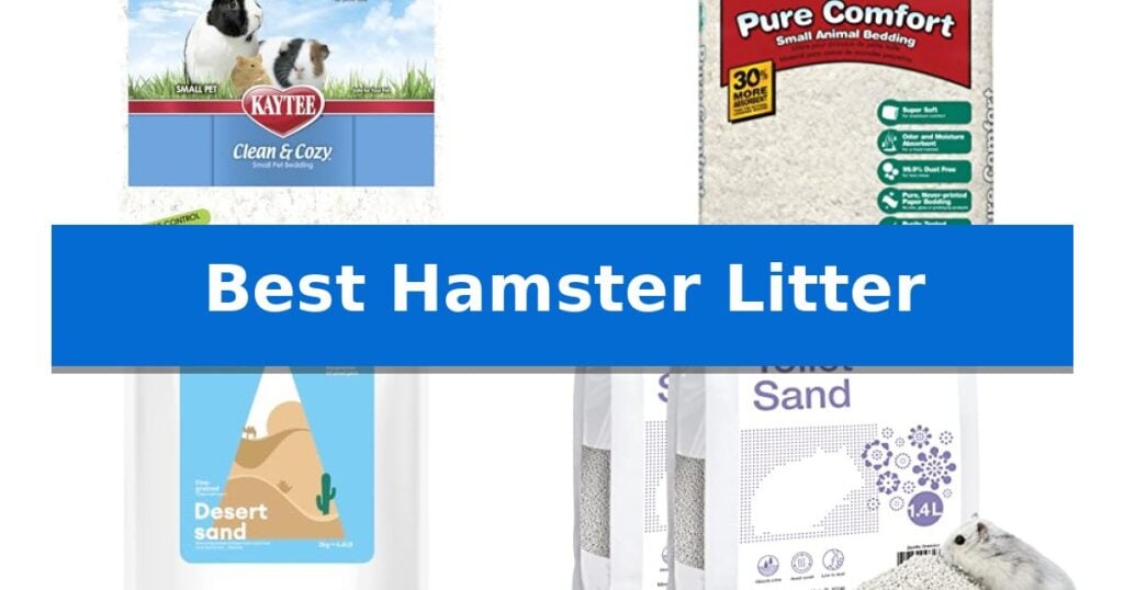 Best Hamster Litter