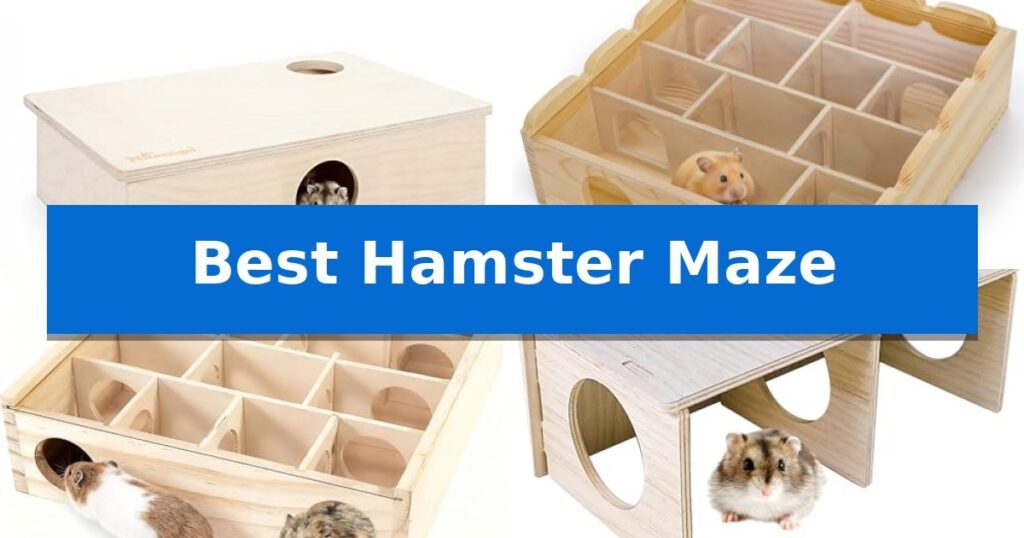 Best Hamster Maze