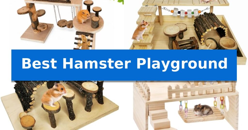 Best Hamster Playground