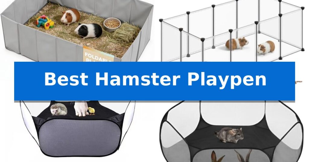 Best Hamster Playpen