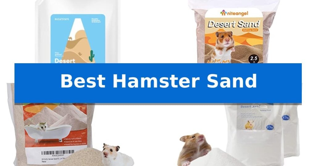 Best Hamster Sand