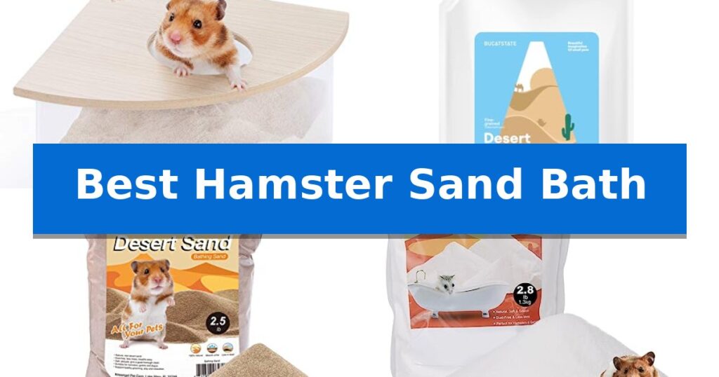 Best Hamster Sand Bath