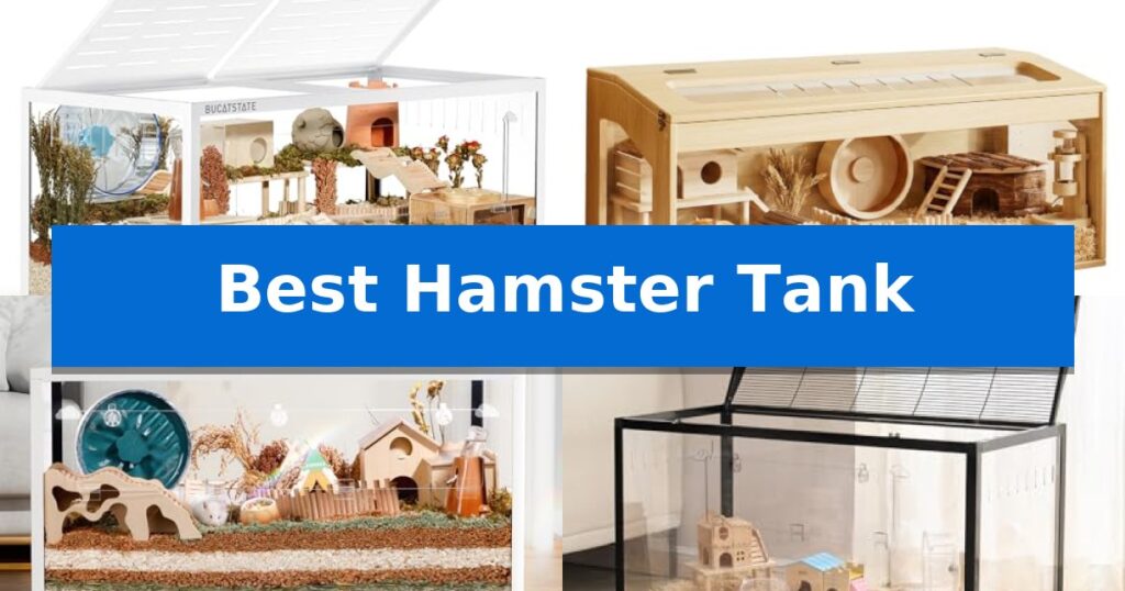 Best Hamster Tank