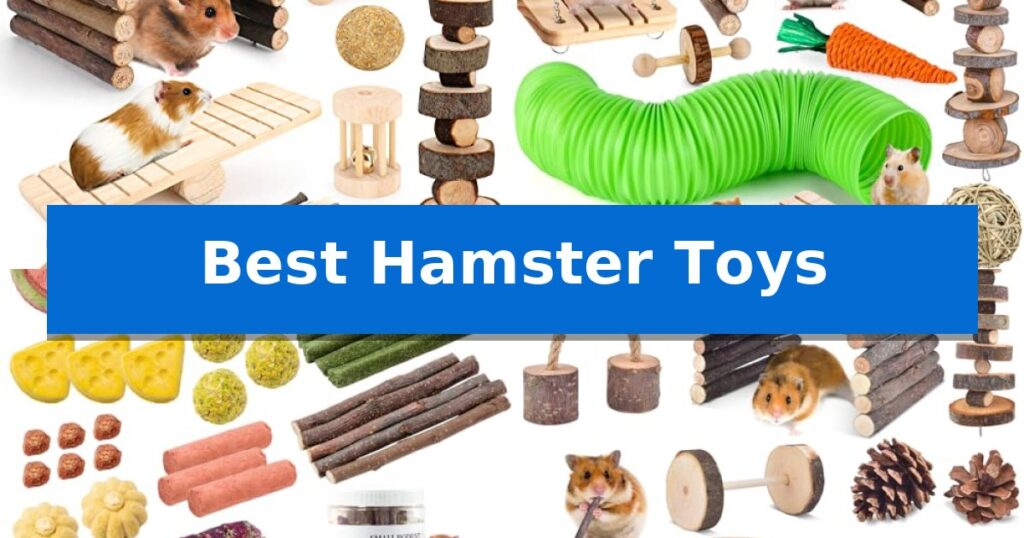 Best Hamster Toys